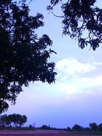 Low angle view of silhouette trees against sky