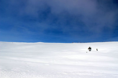 People on snowcapped mountain against sky