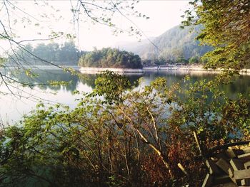 Scenic view of lake in forest against sky