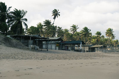 House by palm trees on beach against sky