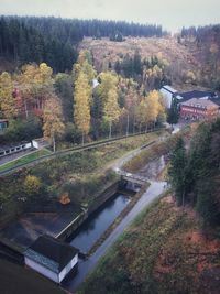 High angle view of trees in forest during autumn