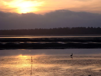 Scenic view of sunset