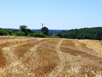 Scenic view of field against clear sky