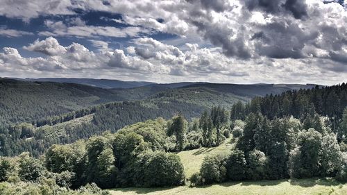 Scenic view of forest against sky