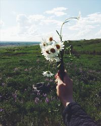 Hand holding flowers in field