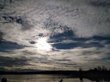 Low angle view of trees against sky