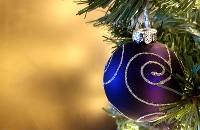 Close-up of christmas tree