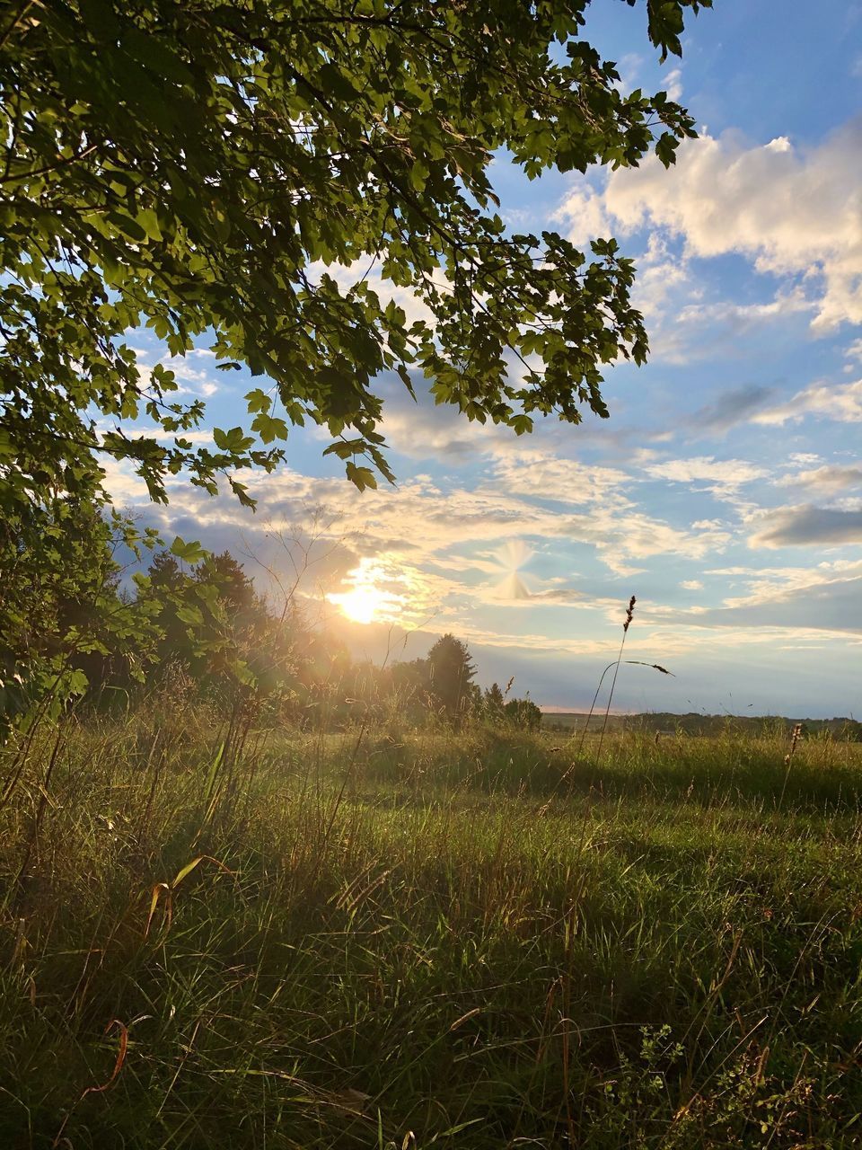 SCENIC VIEW OF FIELD AGAINST BRIGHT SKY