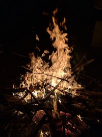 Close-up of bonfire at night