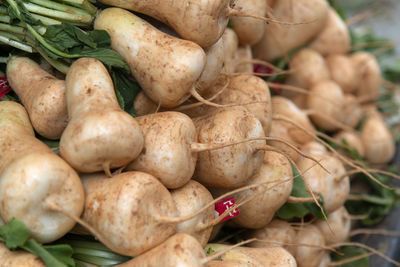 Close-up of fressh radishes