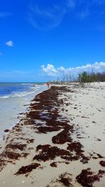 Scenic view of beach against blue sky