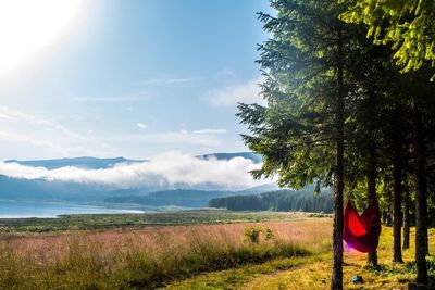 Scenic view of landscape against sky