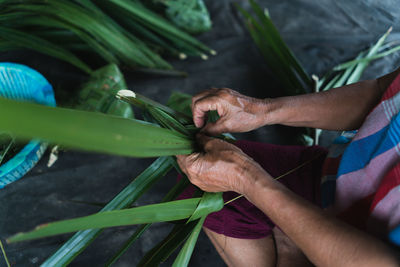 High angle view of man holding leaf