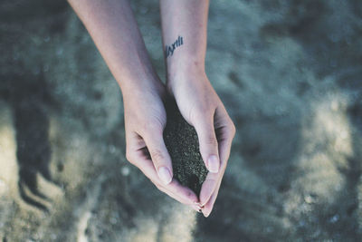 High angle view of hand on rock