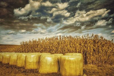 Scenic view of landscape against sky