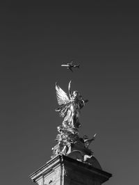 Low angle view of bird flying in sky