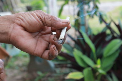 Cropped image of hand holding cigarette