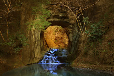 View of waterfall in forest