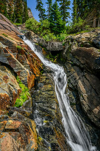 Scenic view of waterfall in forest