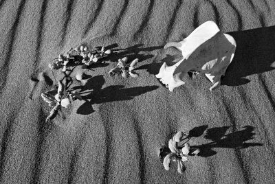 High angle view of text on wall