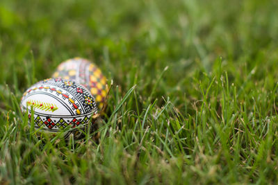 Close-up of decorated easter eggs on grass