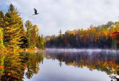 Trees by lake against sky during autumn