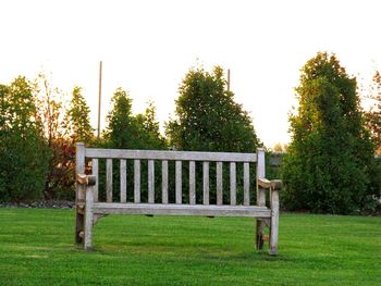 Empty bench on grassy field in park