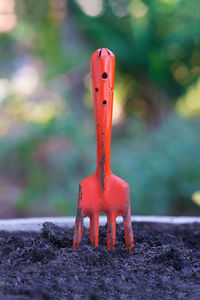 Close-up of fire hydrant