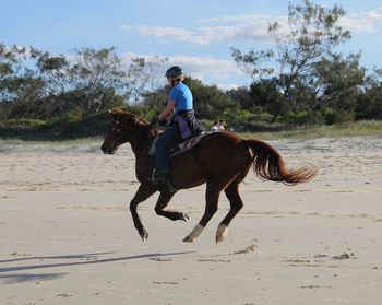 Man riding horse