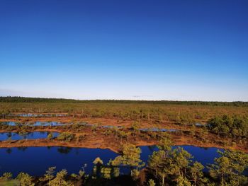 Scenic view of field against clear blue sky