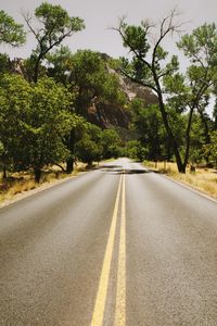 Empty road amidst trees against sky