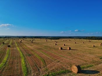 Scenic view of agricultural field against blue sky