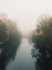 Reflection of trees in water