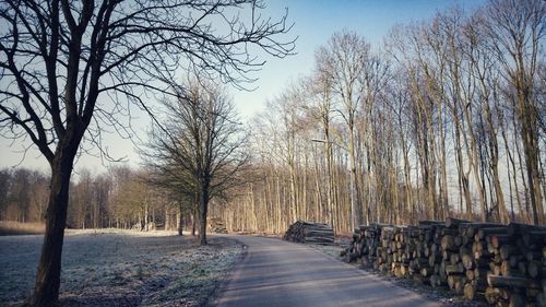 Road amidst trees against sky