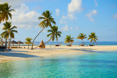 Palm trees by swimming pool against sky