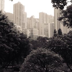 Low angle view of trees against sky