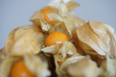 Close-up of fresh fruit 