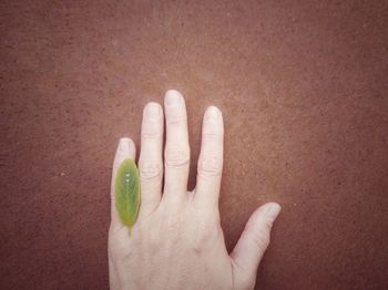 Cropped hand of person against green background