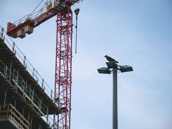 Low angle view of crane against sky