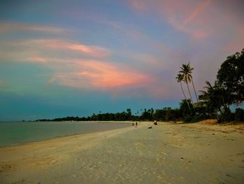 Scenic view of beach against sky during sunset