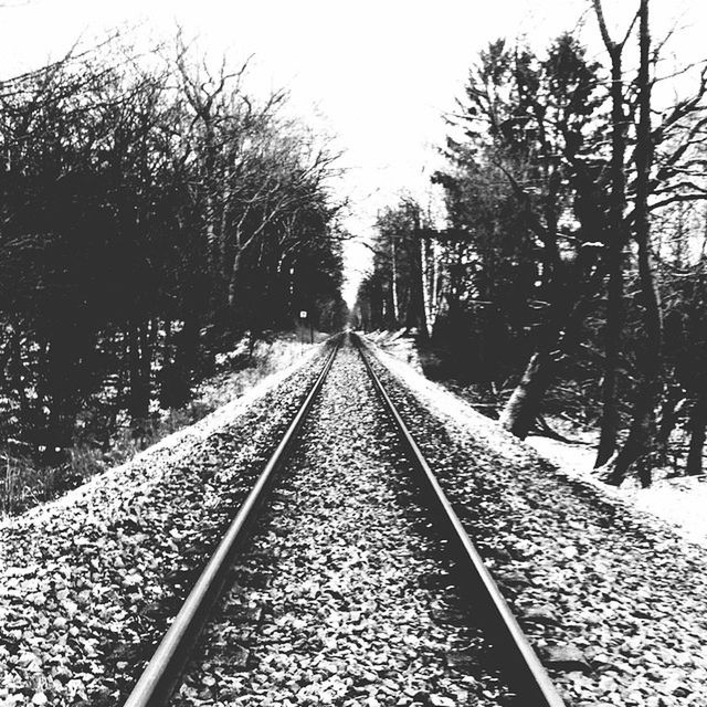 railroad track, transportation, rail transportation, tree, the way forward, diminishing perspective, vanishing point, railway track, bare tree, clear sky, public transportation, sky, connection, straight, day, nature, long, outdoors, no people, metal