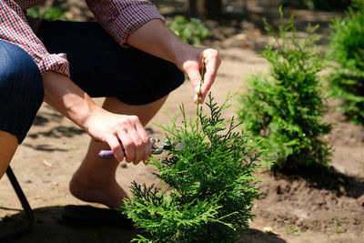 Midsection of woman holding potted plant in yard