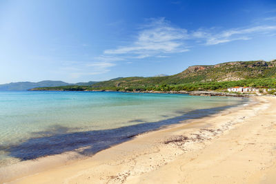 Scenic view of beach against blue sky