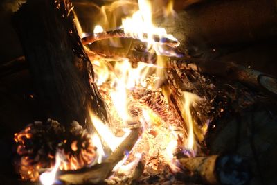 Close-up of bonfire at night