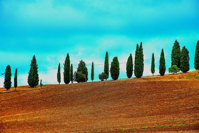 Panoramic view of trees against sky