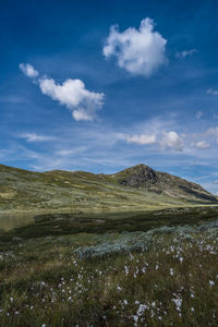 The peer gynt trail from smuksjøseter fjellstue to peer gynt hytta, høvringen