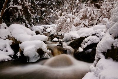 Scenic view of river amidst trees during winter