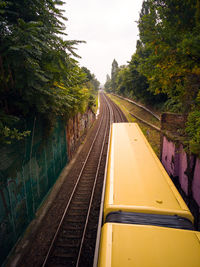 Empty railroad tracks along trees