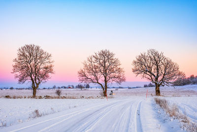 Bare trees on snow covered landscape against sky