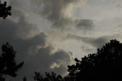 Low angle view of silhouette trees against sky